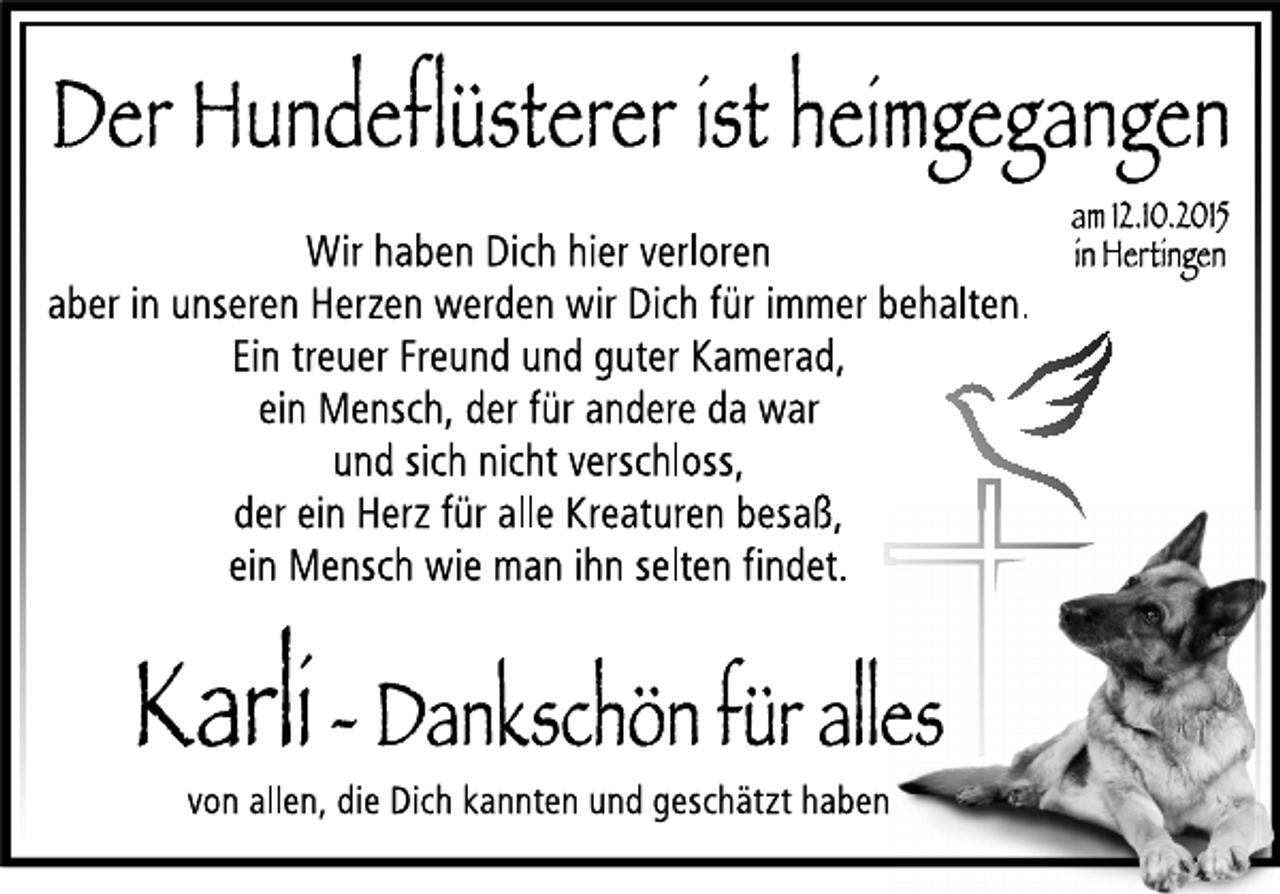<p>---</p>