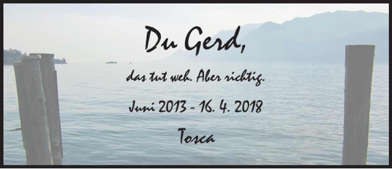 <p>Du Gerd,<br />das tut weh. Aber richtig.<br />Juni 2013 - 16. 4. 2018</p><p>Tosca</p>
