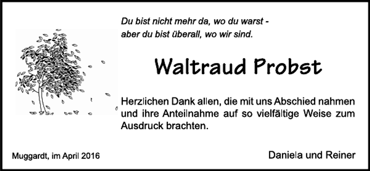 <p>---</p>