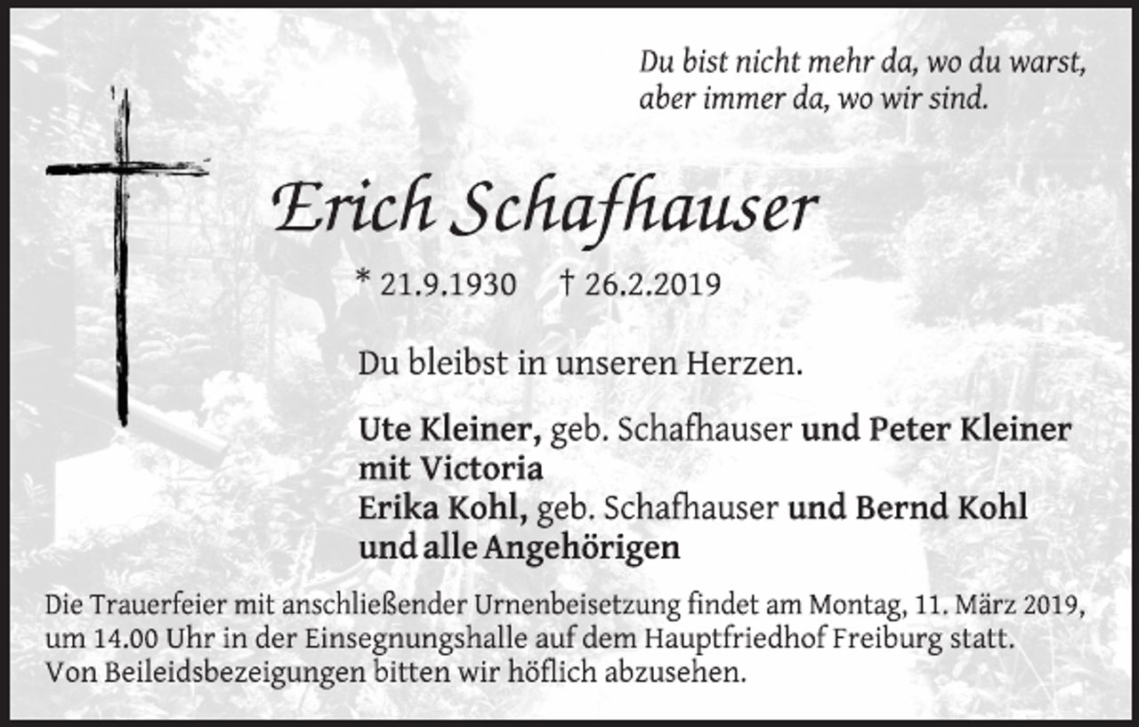 <p>---</p>