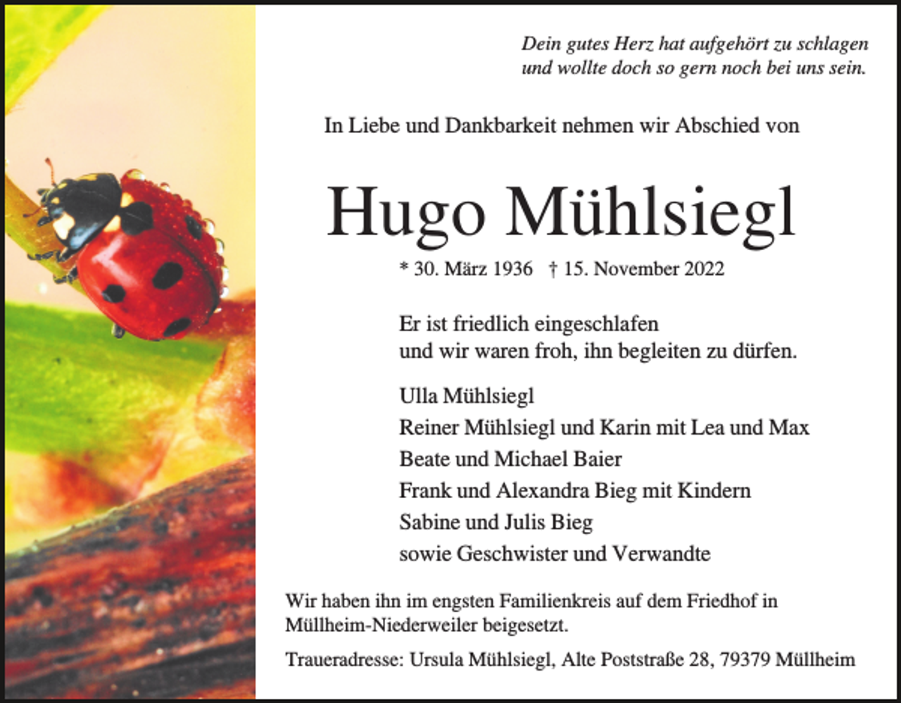 <p>Dein gutes Herz hat aufgehört zu schlagen<br />und wollte doch so gern noch bei uns sein.</p><p>In Liebe und Dankbarkeit nehmen wir Abschied von</p><p>Hugo Mühlsiegl<br />* 30. März 1936 † 15. November 2022</p><p>Er ist friedlich eingeschlafen<br />und wir waren froh, ihn begleiten zu dürfen.<br />Ulla Mühlsiegl<br />Reiner Mühlsiegl und Karin mit Lea und Max<br />Beate und Michael Baier<br />Frank und Alexandra Bieg mit Kindern<br />Sabine und Julis Bieg<br />sowie Geschwister und Verwandte<br />Wir haben ihn im engsten Familienkreis auf dem Friedhof in<br />Müllheim-Niederweiler beigesetzt.<br />Traueradresse: Ursula Mühlsiegl, Alte Poststraße 28, 79379 Müllheim</p>