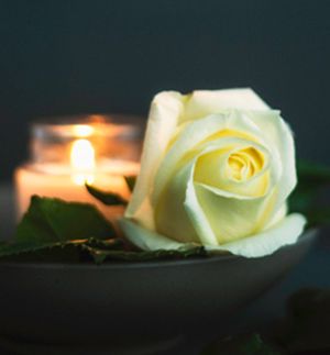 Vom User ausgewähltes Bild