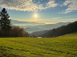 Vom User ausgewähltes Bild