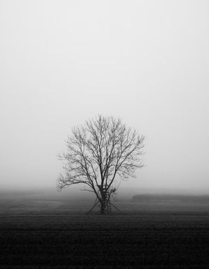 Vom User ausgewähltes Bild