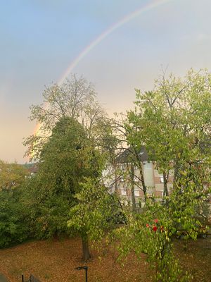 Vom User ausgewähltes Bild