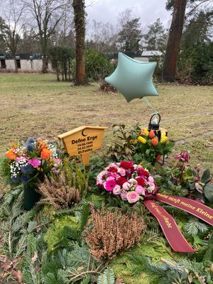 Vom User ausgewähltes Bild