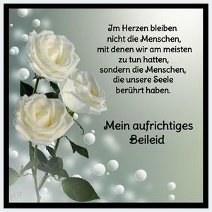 Vom User ausgewähltes Bild
