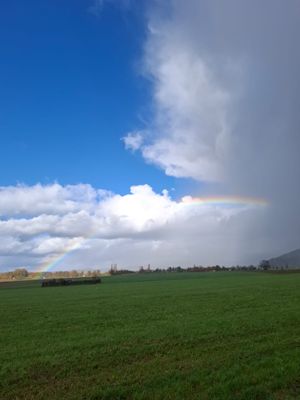 Vom User ausgewähltes Bild