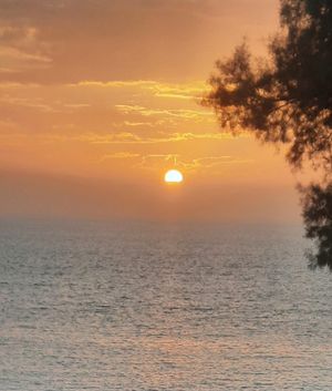 Vom User ausgewähltes Bild