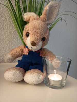 Vom User ausgewähltes Bild