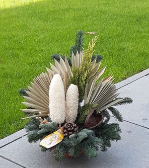 Image chosen by user