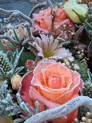 Vom User ausgewähltes Bild