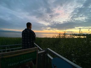 Image chosen by user