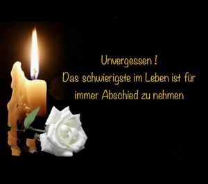 Vom User ausgewähltes Bild