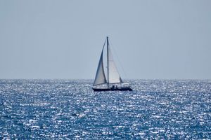 Vom User ausgewähltes Bild