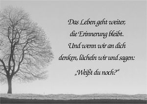 Vom User ausgewähltes Bild