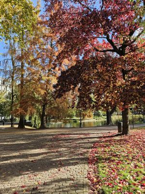 Vom User ausgewähltes Bild