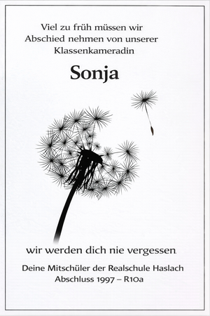 Vom User ausgewähltes Bild
