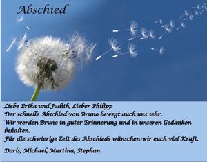 Vom User ausgewähltes Bild