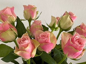 Vom User ausgewähltes Bild