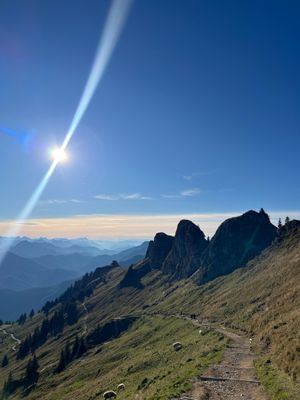 Vom User ausgewähltes Bild