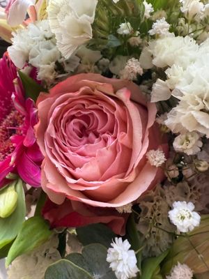 Vom User ausgewähltes Bild