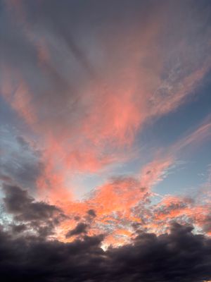 Vom User ausgewähltes Bild