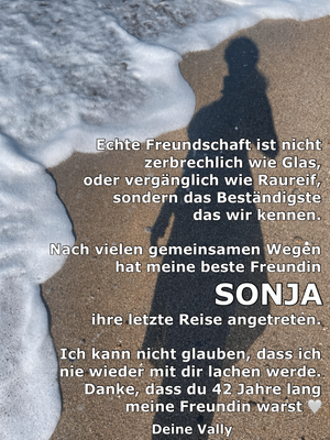 Vom User ausgewähltes Bild