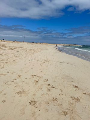 Vom User ausgewähltes Bild