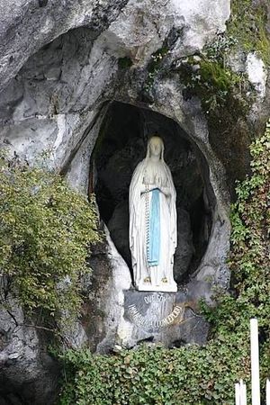 Vom User ausgewähltes Bild