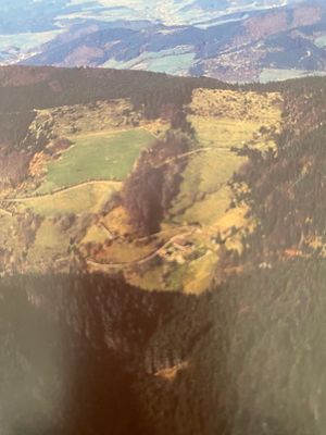 Vom User ausgewähltes Bild