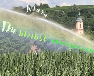 Vom User ausgewähltes Bild