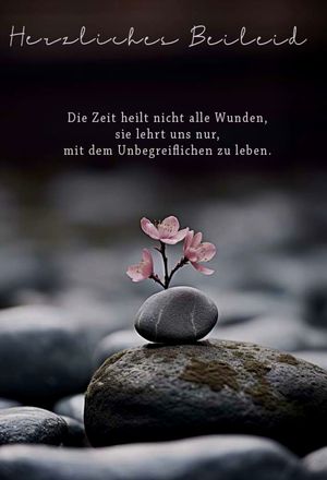 Vom User ausgewähltes Bild