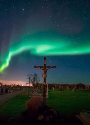 Vom User ausgewähltes Bild