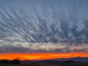 Image chosen by user