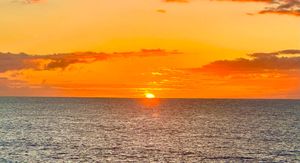 Vom User ausgewähltes Bild