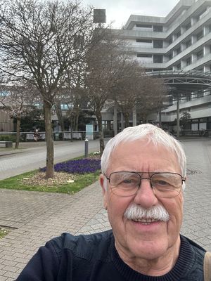 Vom User ausgewähltes Bild