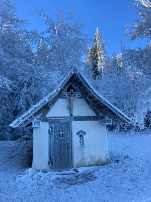 Vom User ausgewähltes Bild