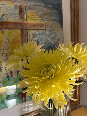 Vom User ausgewähltes Bild