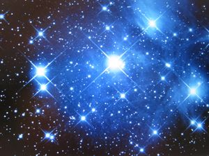 Vom User ausgewähltes Bild