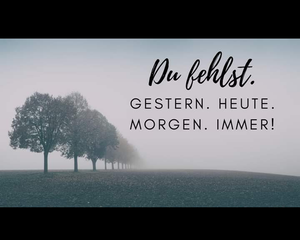 Vom User ausgewähltes Bild