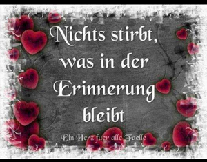Vom User ausgewähltes Bild