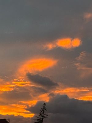 Vom User ausgewähltes Bild