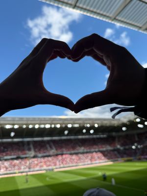 Vom User ausgewähltes Bild