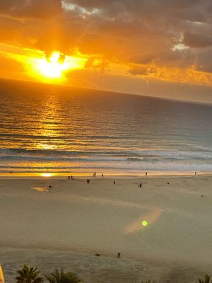 Vom User ausgewähltes Bild