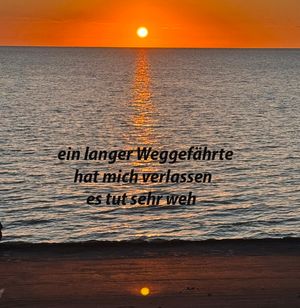 Vom User ausgewähltes Bild