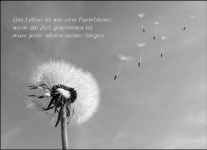 Image chosen by user