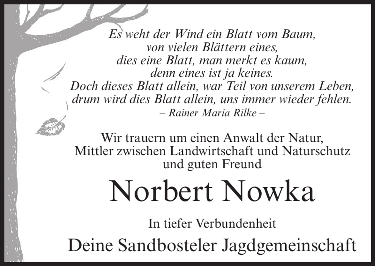 <p>Es weht der Wind ein Blatt vom Baum,<br />von vielen Blättern eines,<br />dies eine Blatt, man merkt es kaum,<br />denn eines ist ja keines.<br />Doch dieses Blatt allein, war Teil von unserem Leben,<br />drum wird dies Blatt allein, uns immer wieder fehlen.<br />– Rainer Maria Rilke –</p><p>Wir trauern um einen Anwalt der Natur,<br />Mittler zwischen Landwirtschaft und Naturschutz<br />und guten Freund</p><p>Norbert Nowka<br />In tiefer Verbundenheit</p><p>Deine Sandbosteler Jagdgemeinschaft</p>