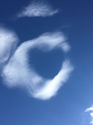 Vom User ausgewähltes Bild