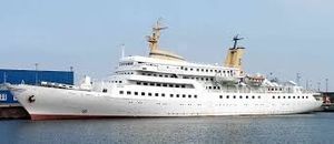 Image chosen by user